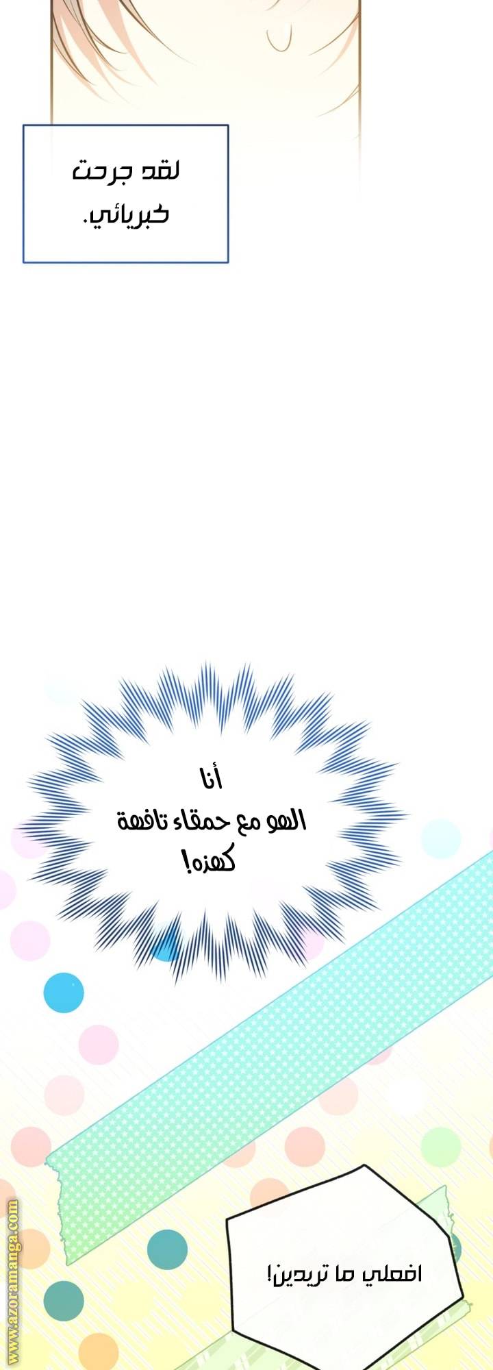 الصفحة 19