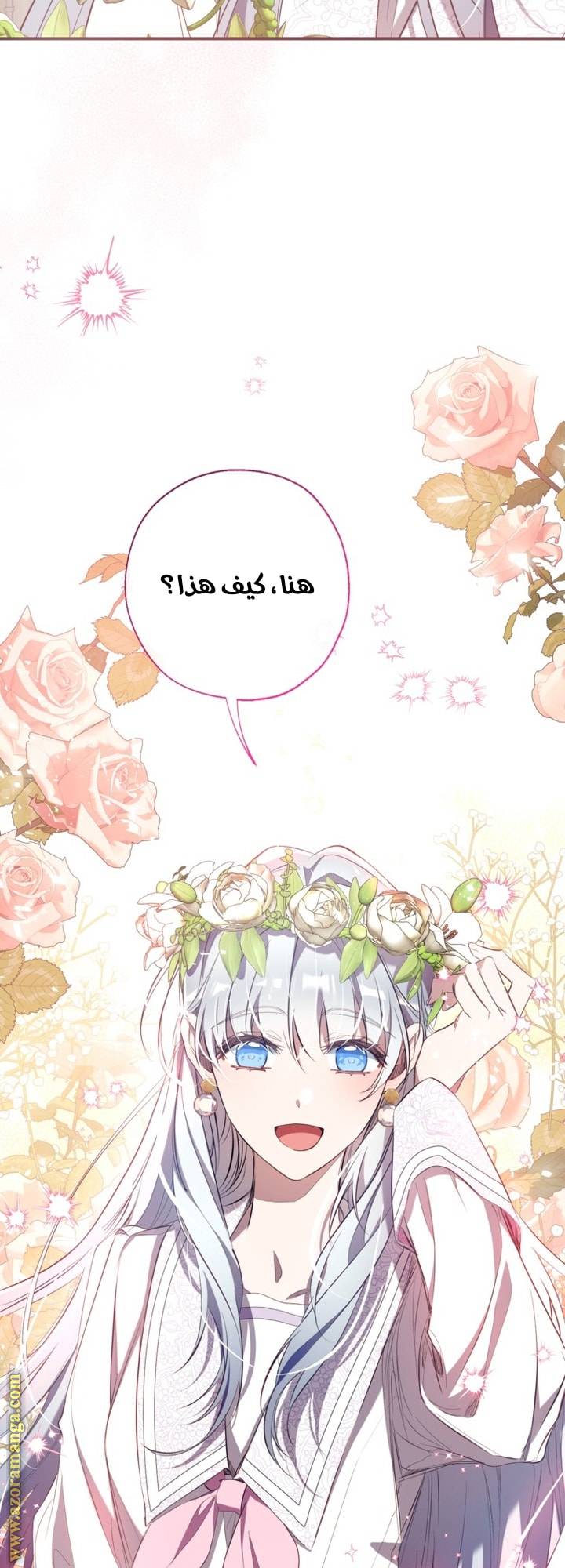 الصفحة 23