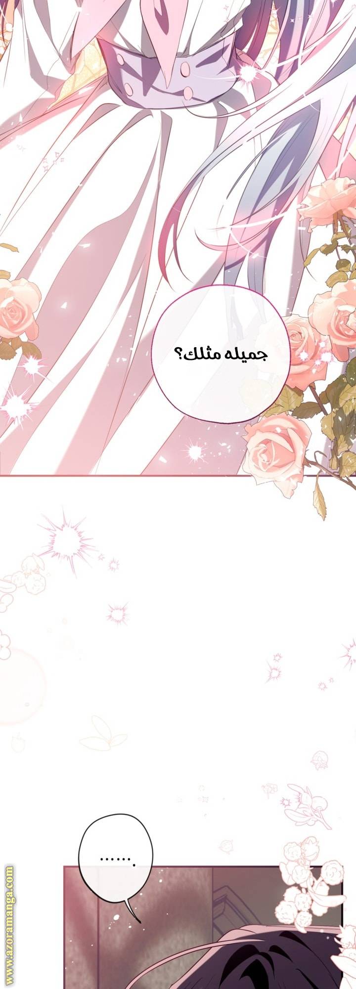 الصفحة 24