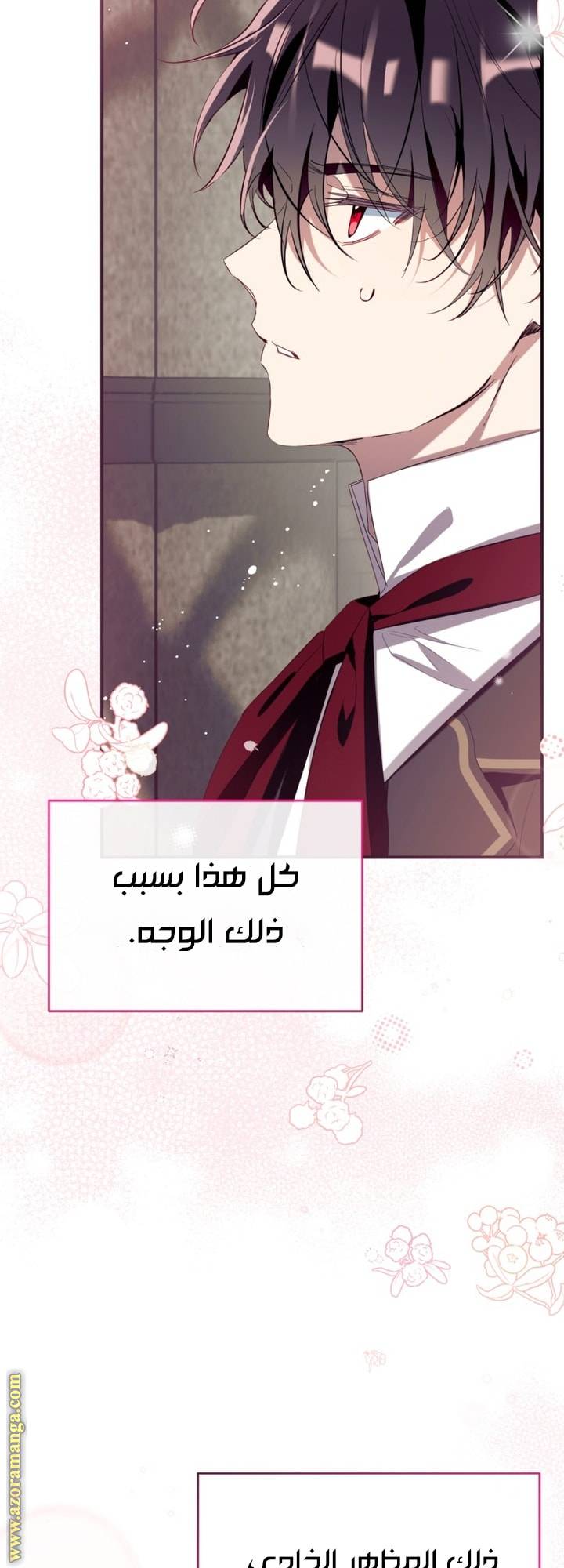 الصفحة 25