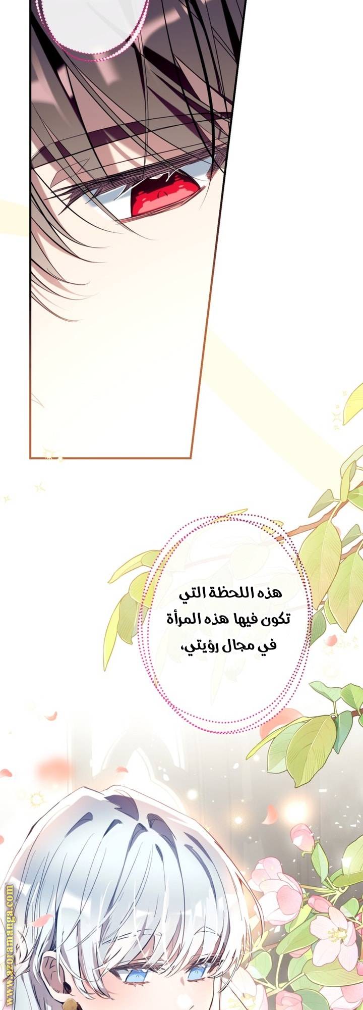الصفحة 52