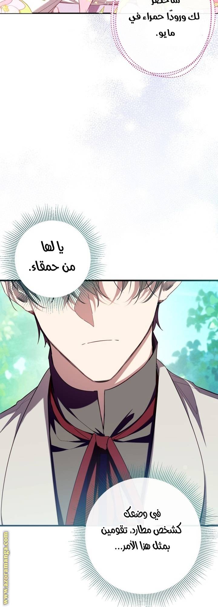 الصفحة 29