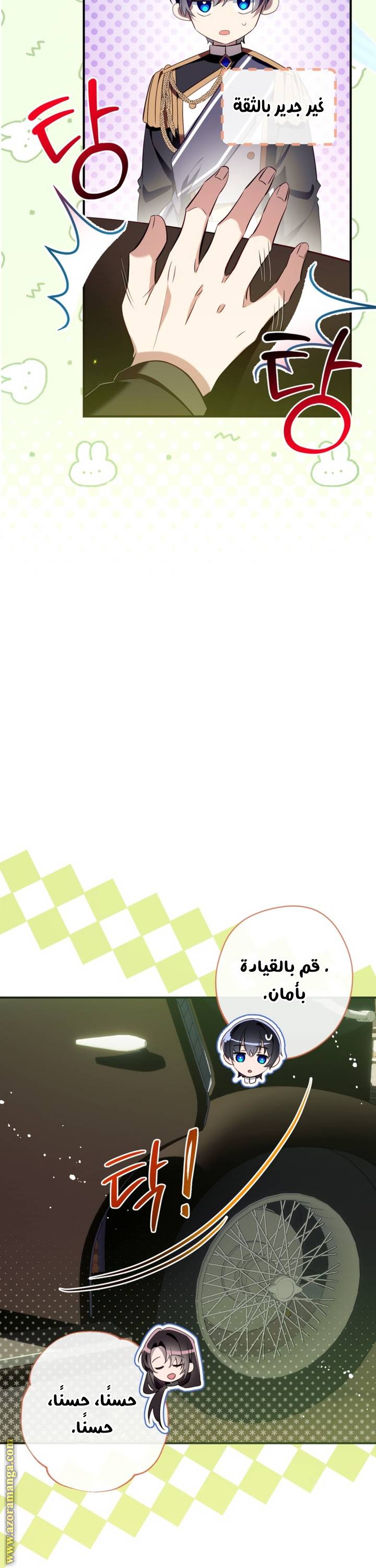 الصفحة 25