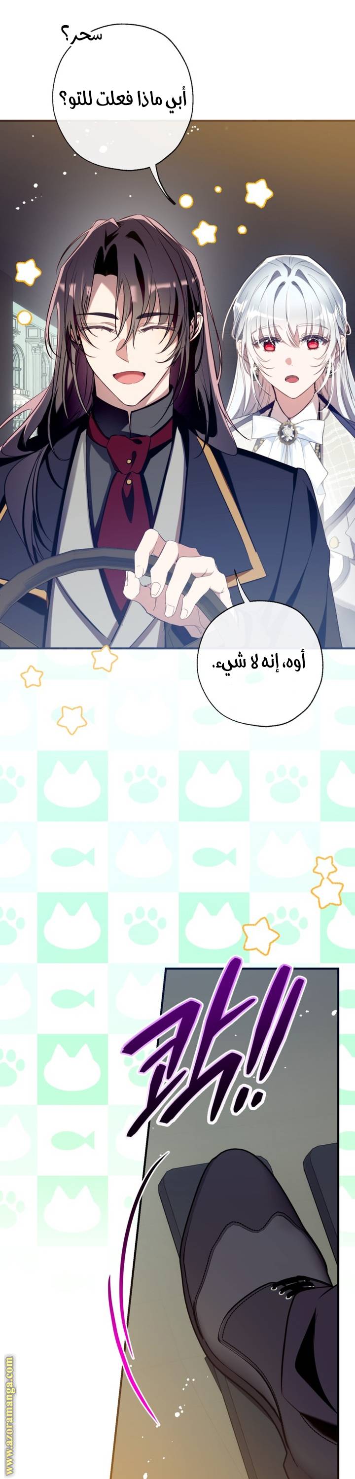 الصفحة 27