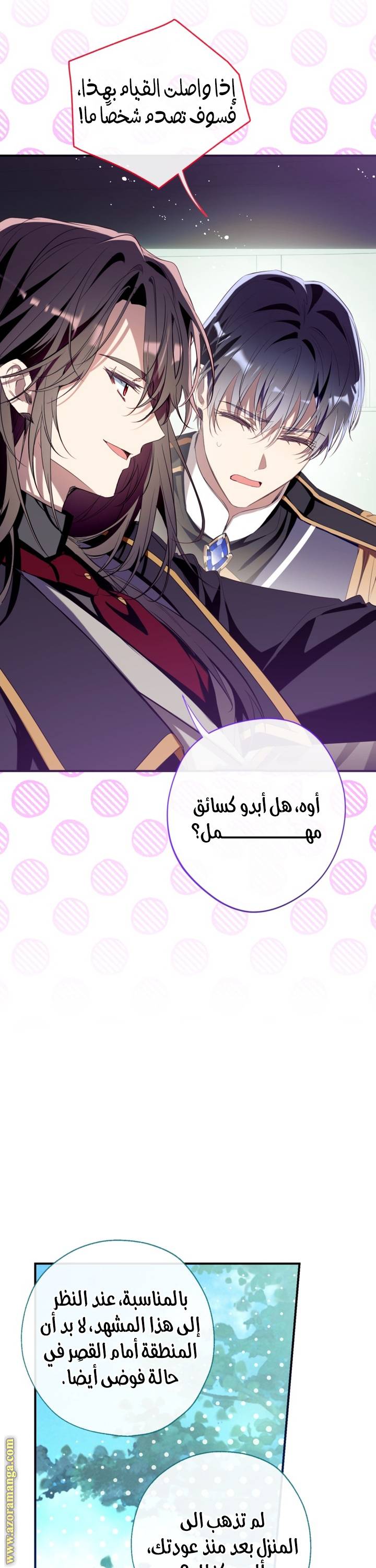 الصفحة 29