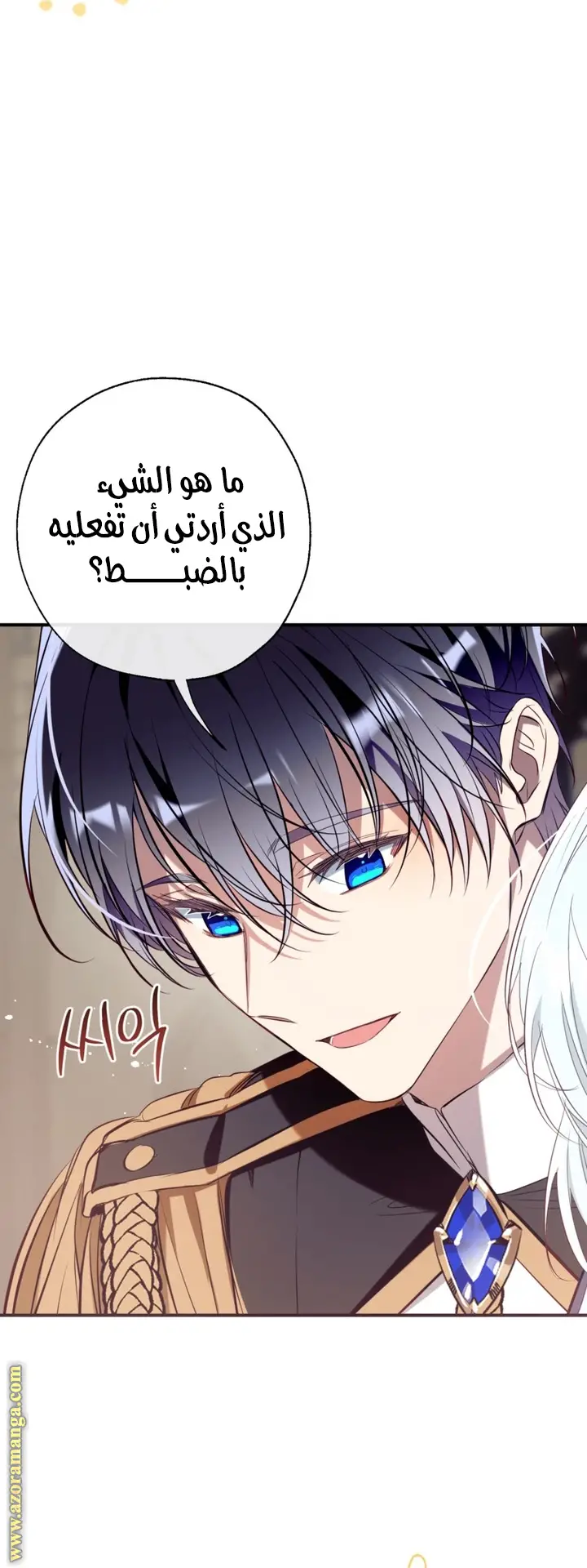 الصفحة 41