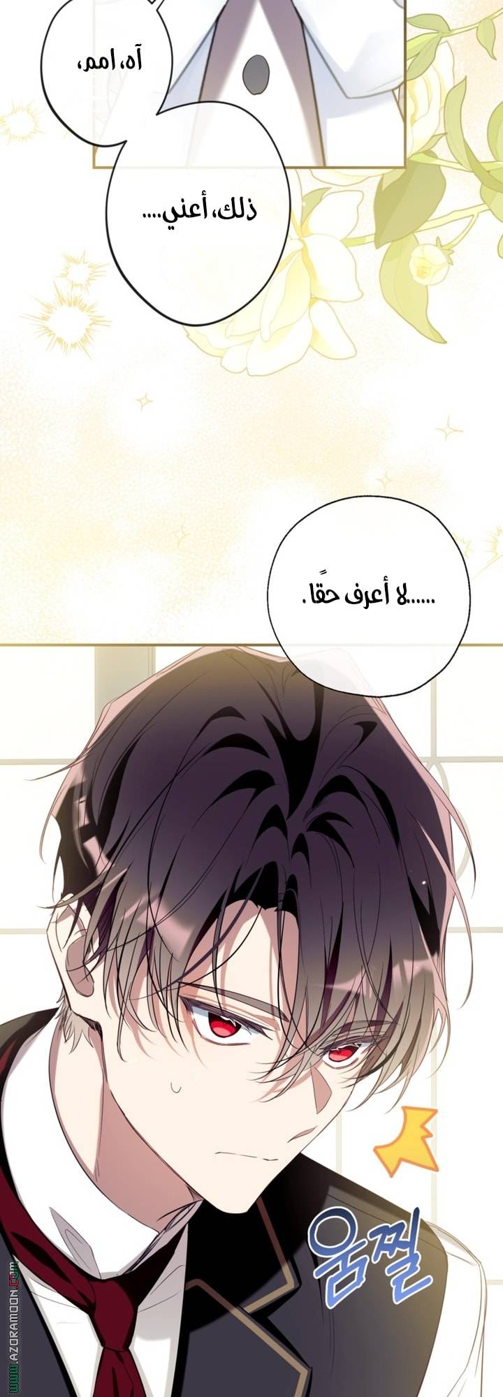 الصفحة 13