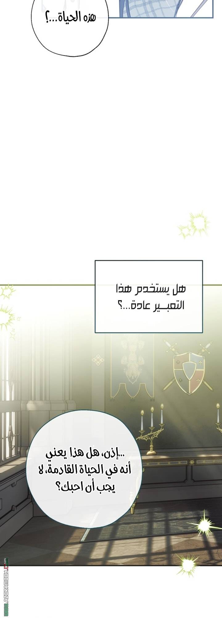 الصفحة 17