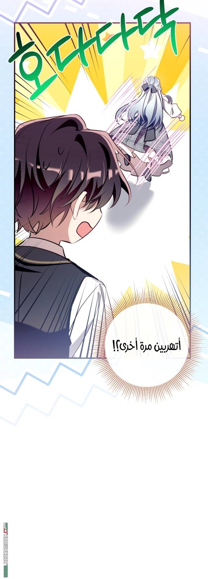 الصفحة 26