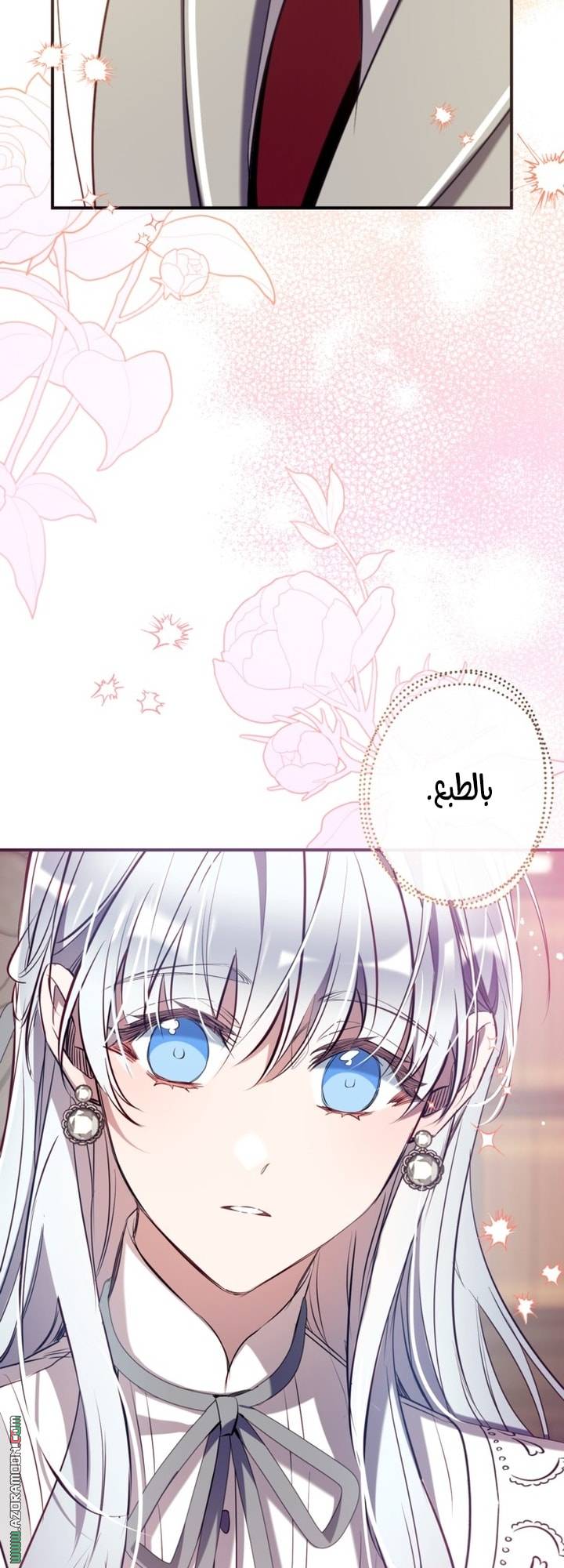 الصفحة 46