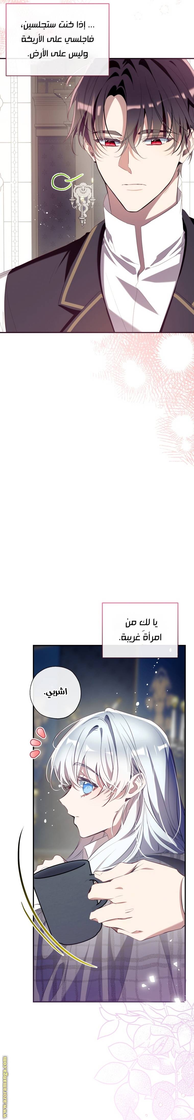 الصفحة 25
