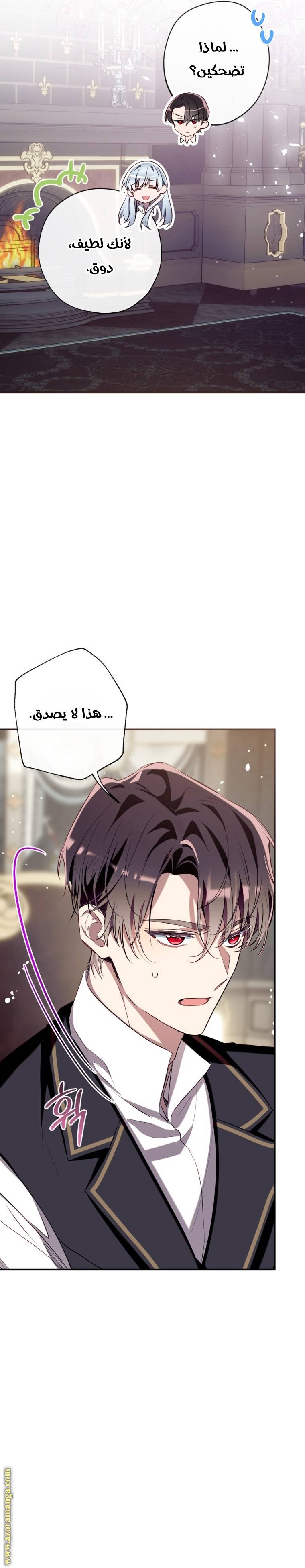 الصفحة 27