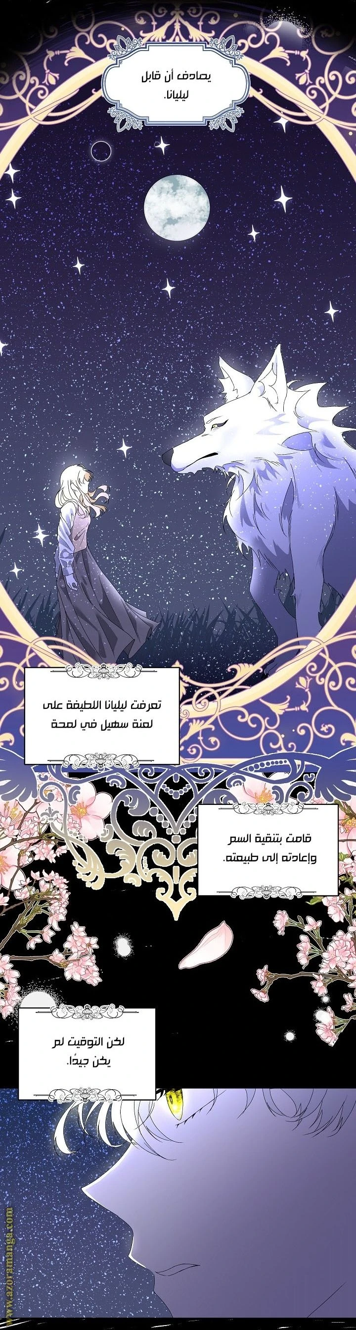 الصفحة 17
