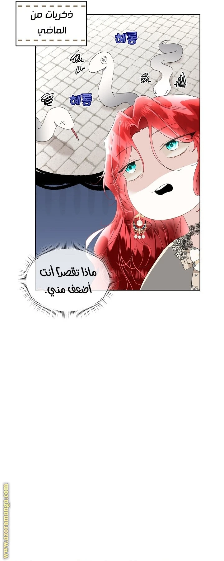 الصفحة 14