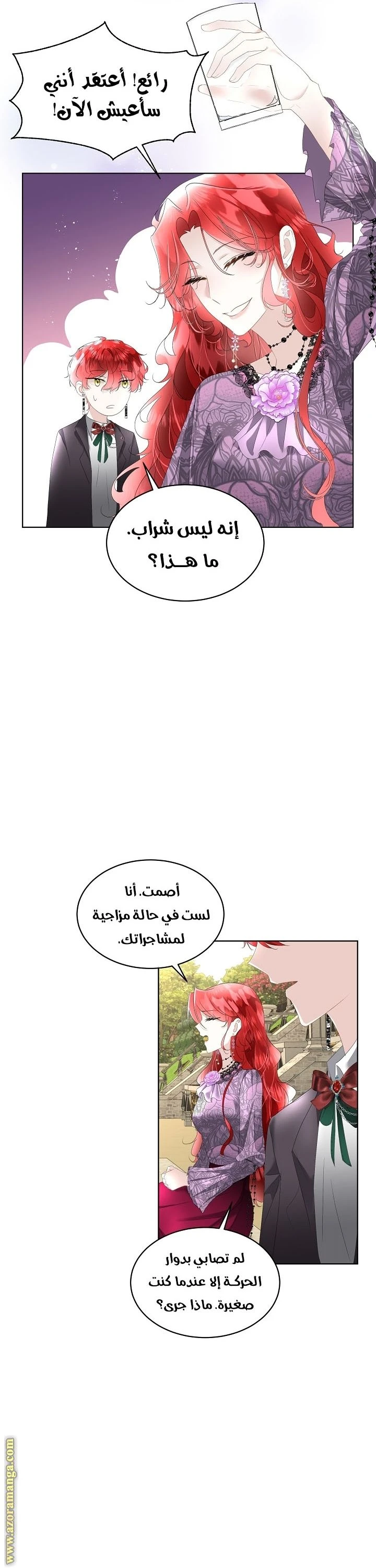 الصفحة 25