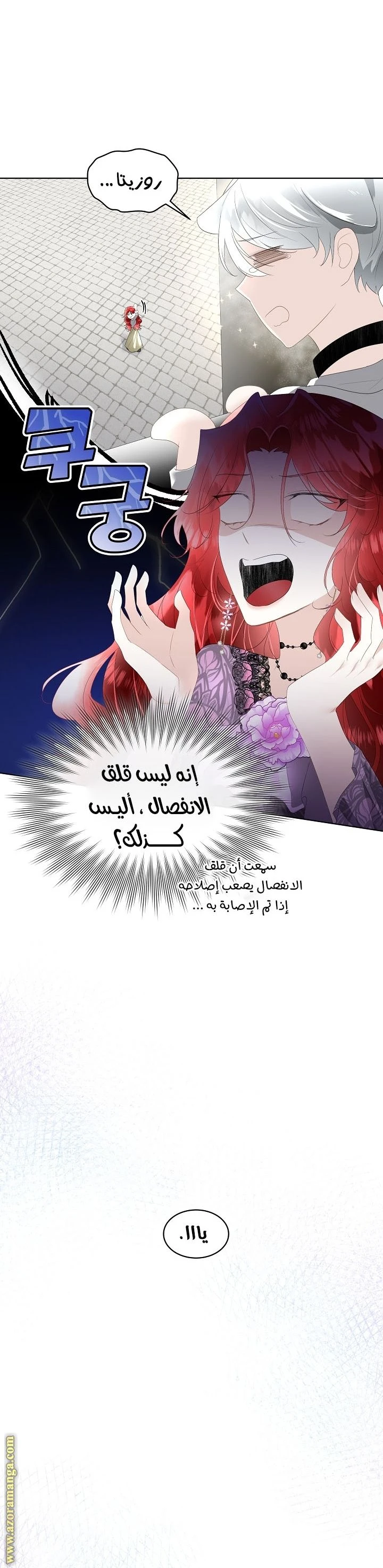 الصفحة 29
