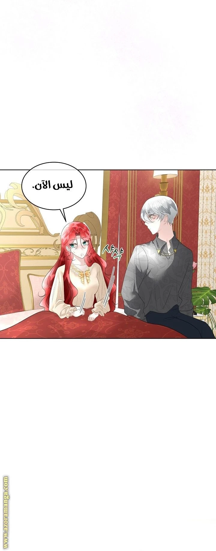 الصفحة 17