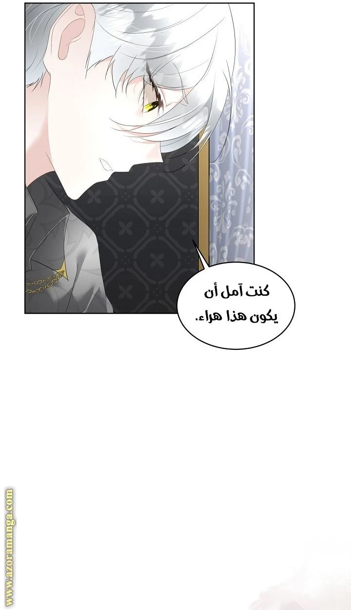 الصفحة 20