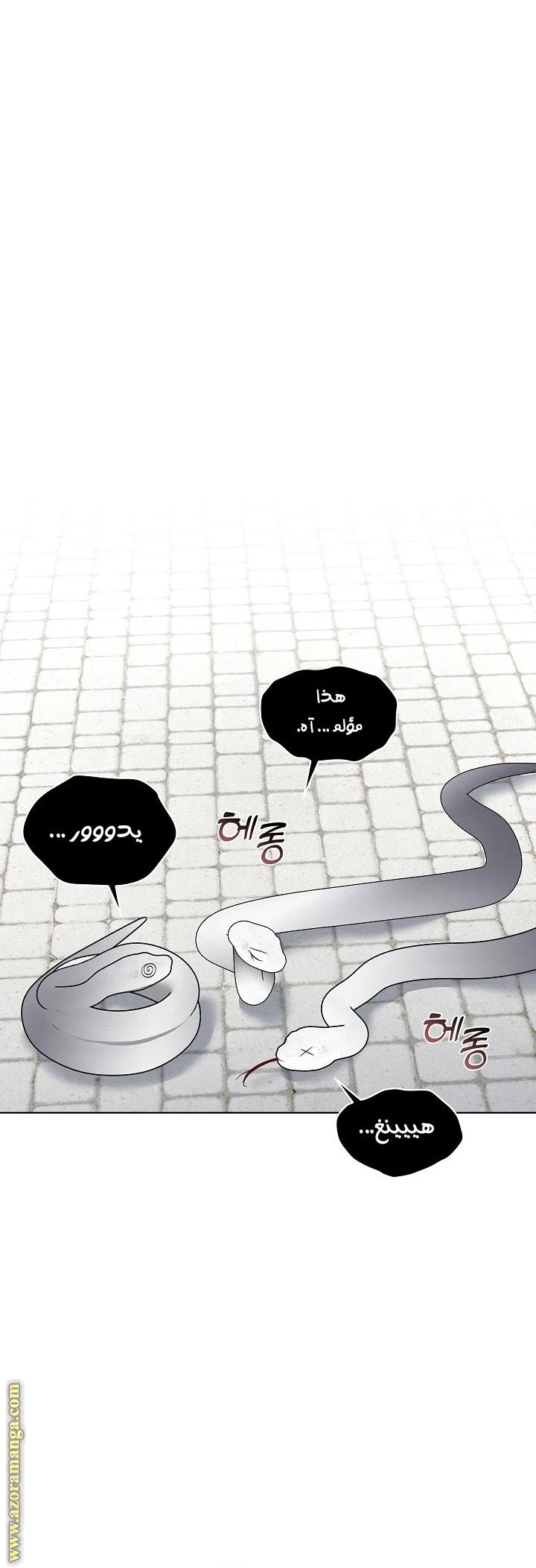 الصفحة 16