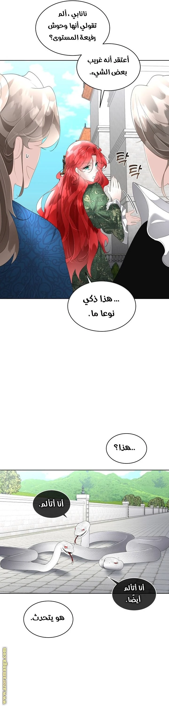 الصفحة 17