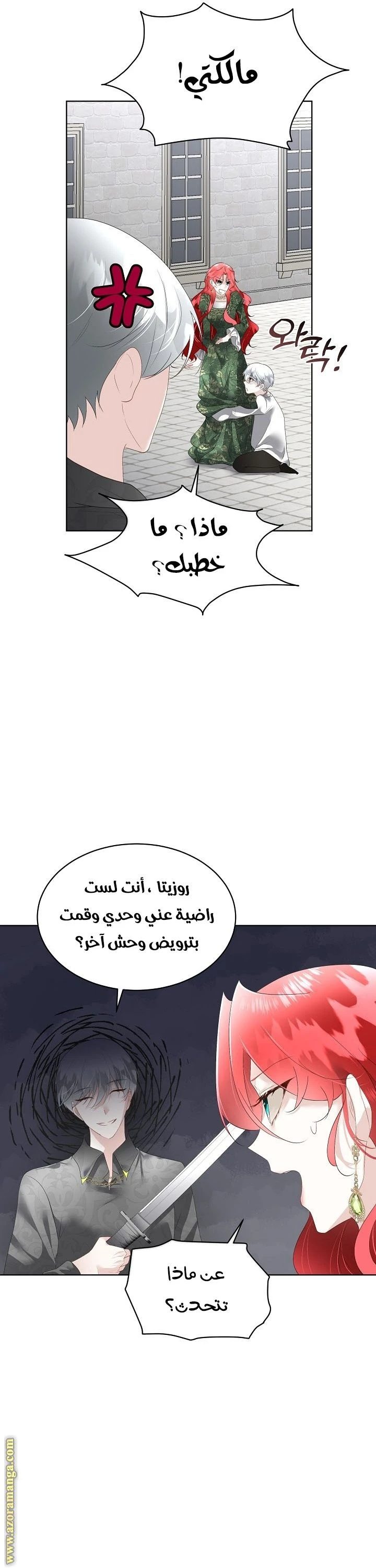 الصفحة 27