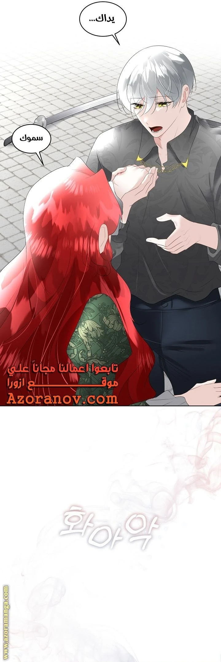 الصفحة 29