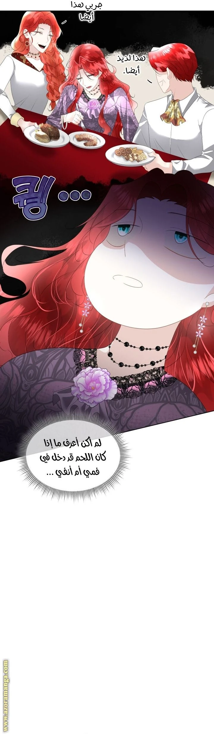 الصفحة 35