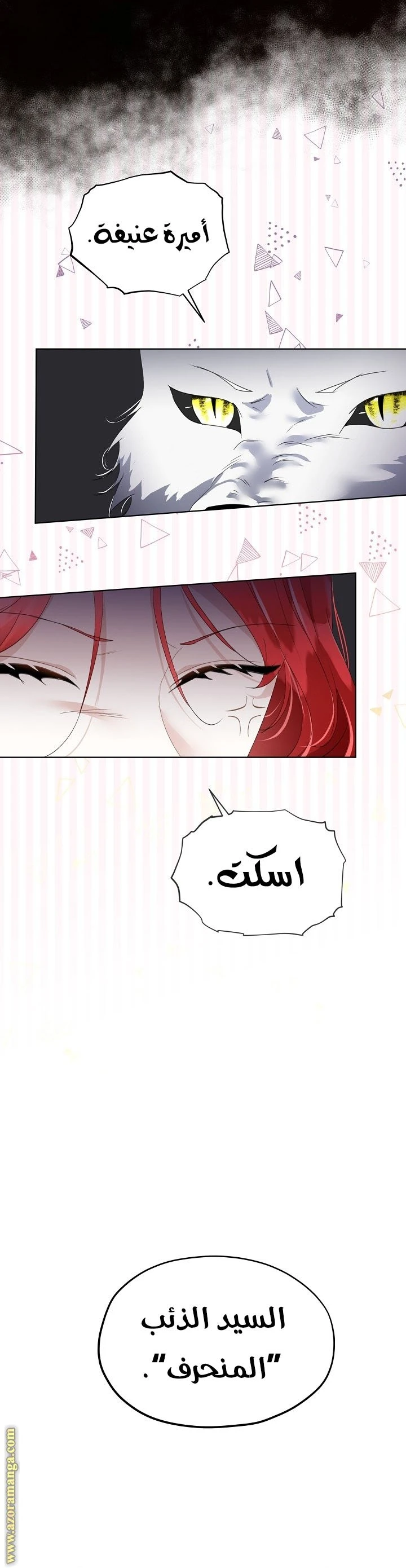الصفحة 15