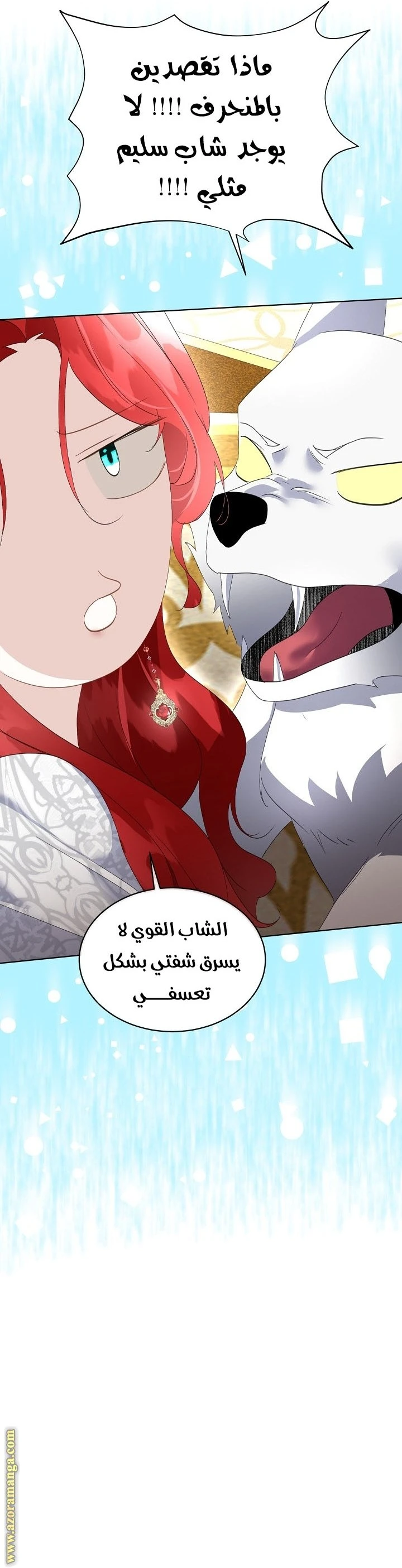 الصفحة 17