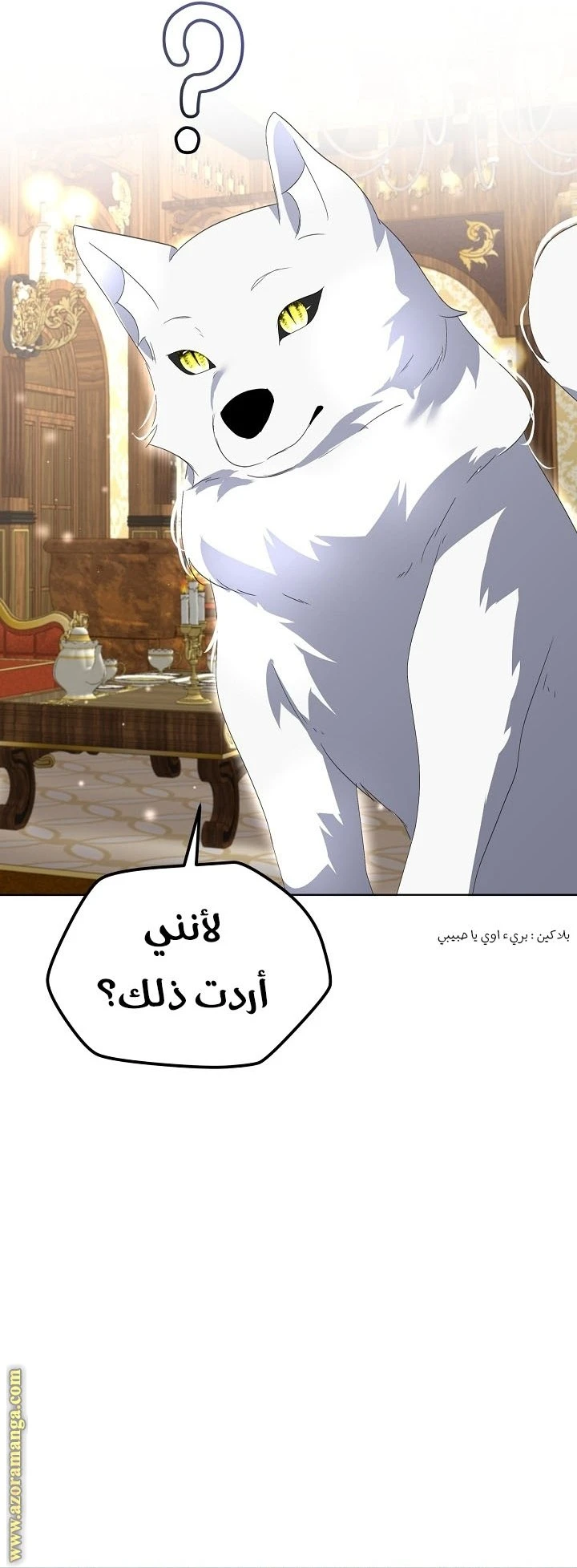 الصفحة 24