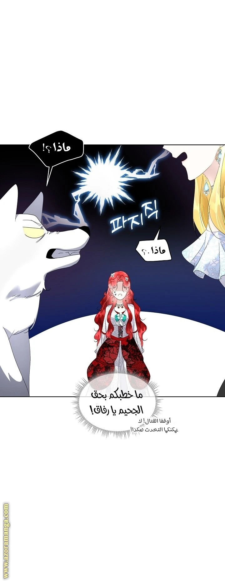 الصفحة 19