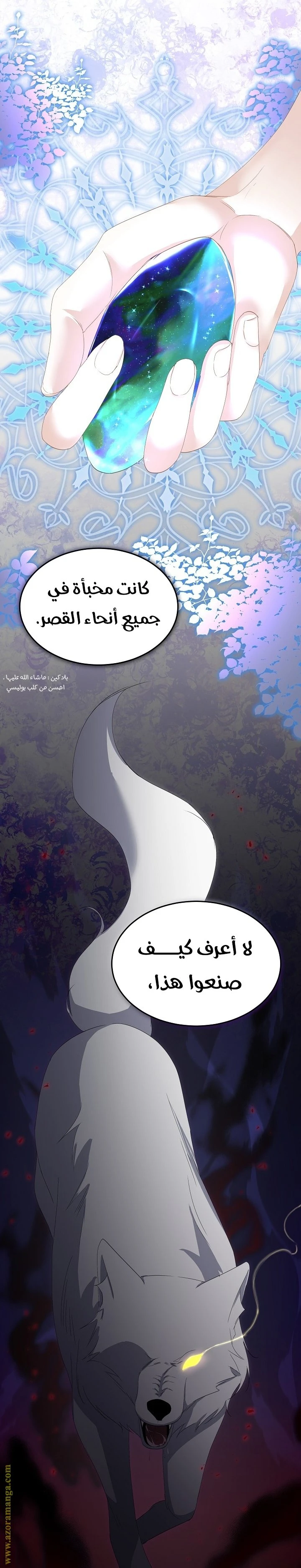 الصفحة 29