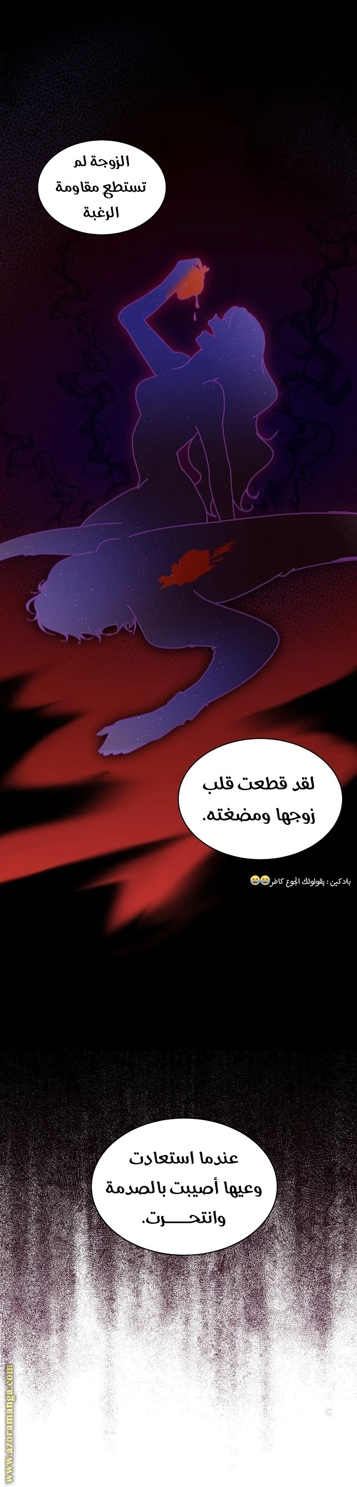 الصفحة 41