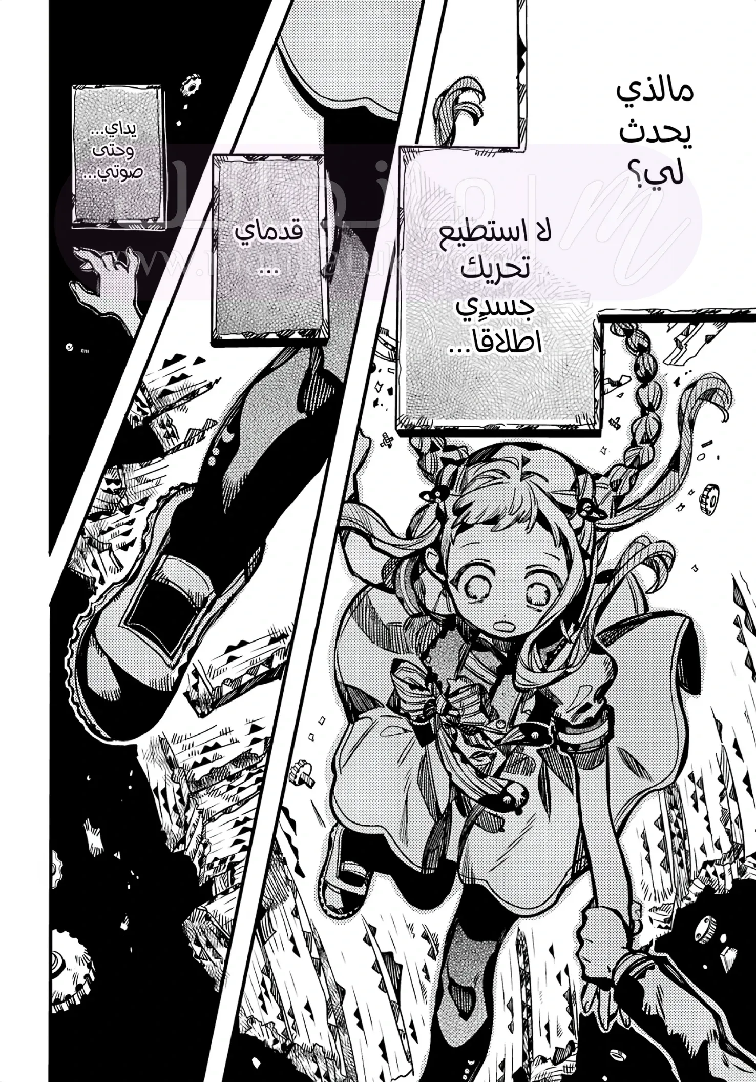 الصفحة 25