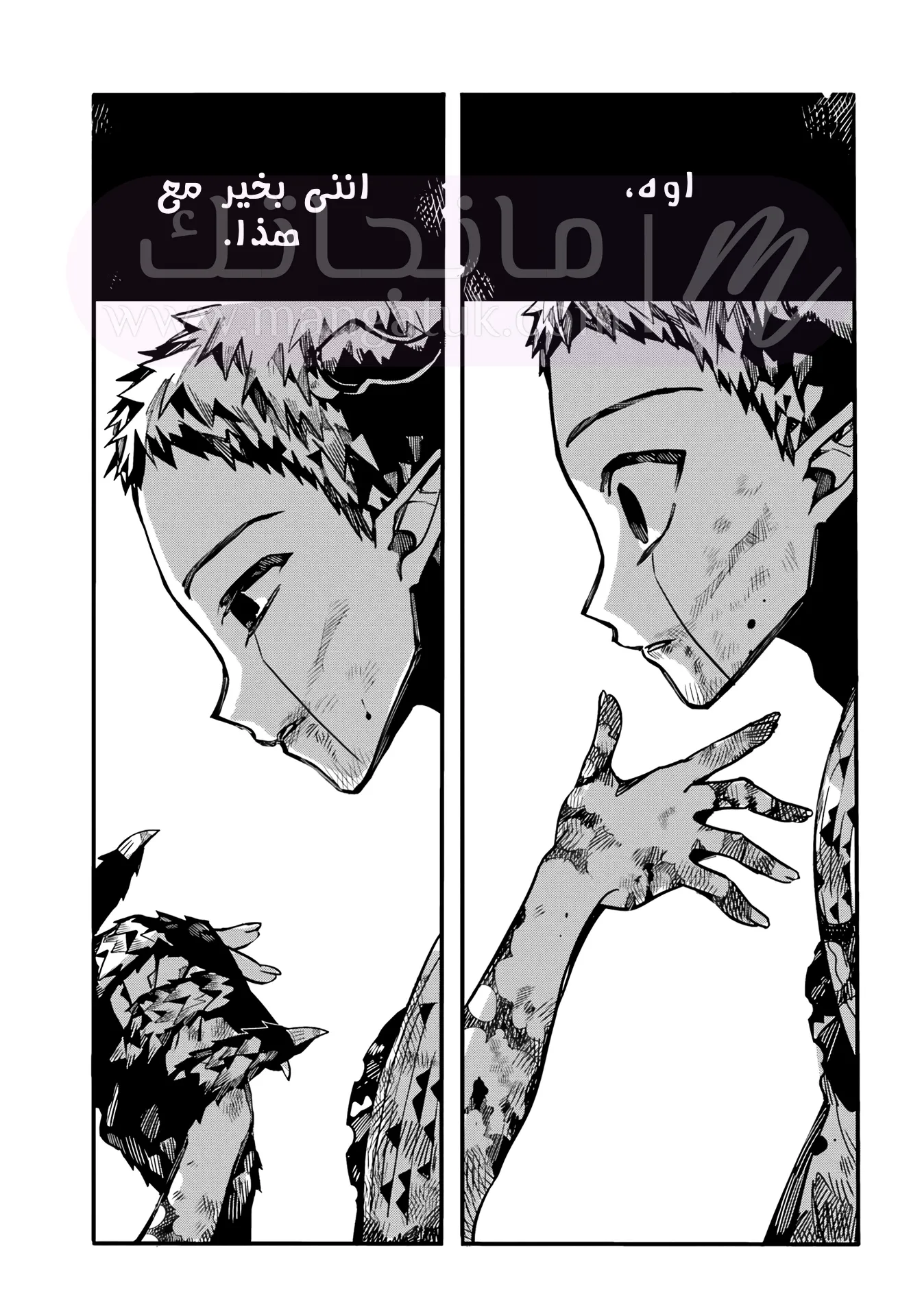 الصفحة 16
