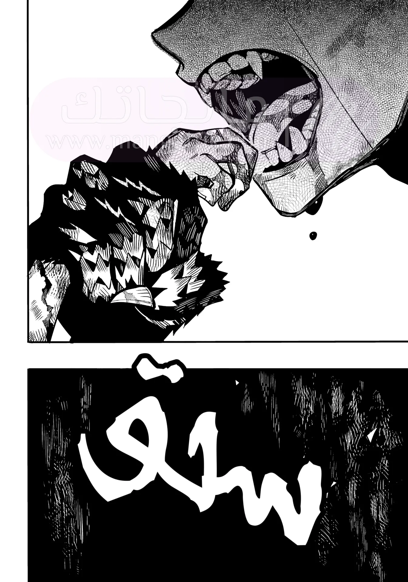 الصفحة 17