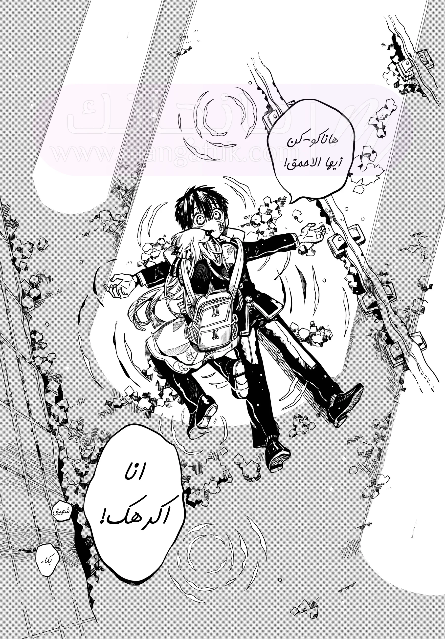 الصفحة 13