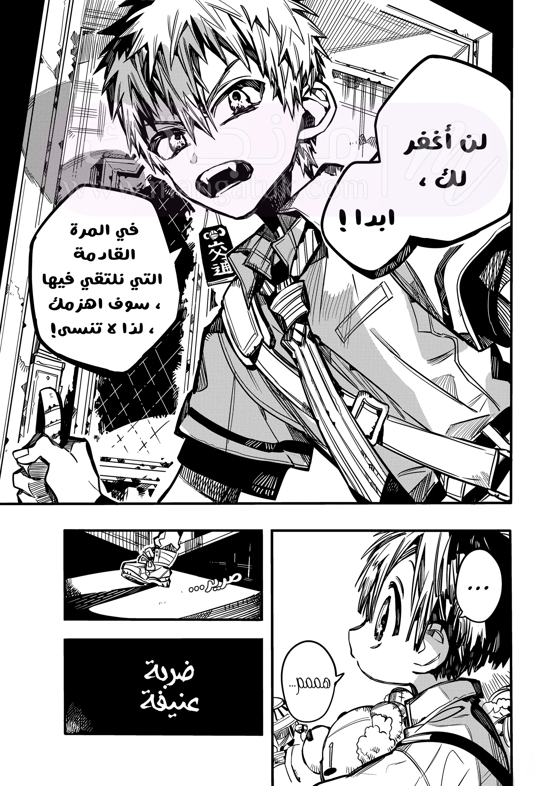 الصفحة 19
