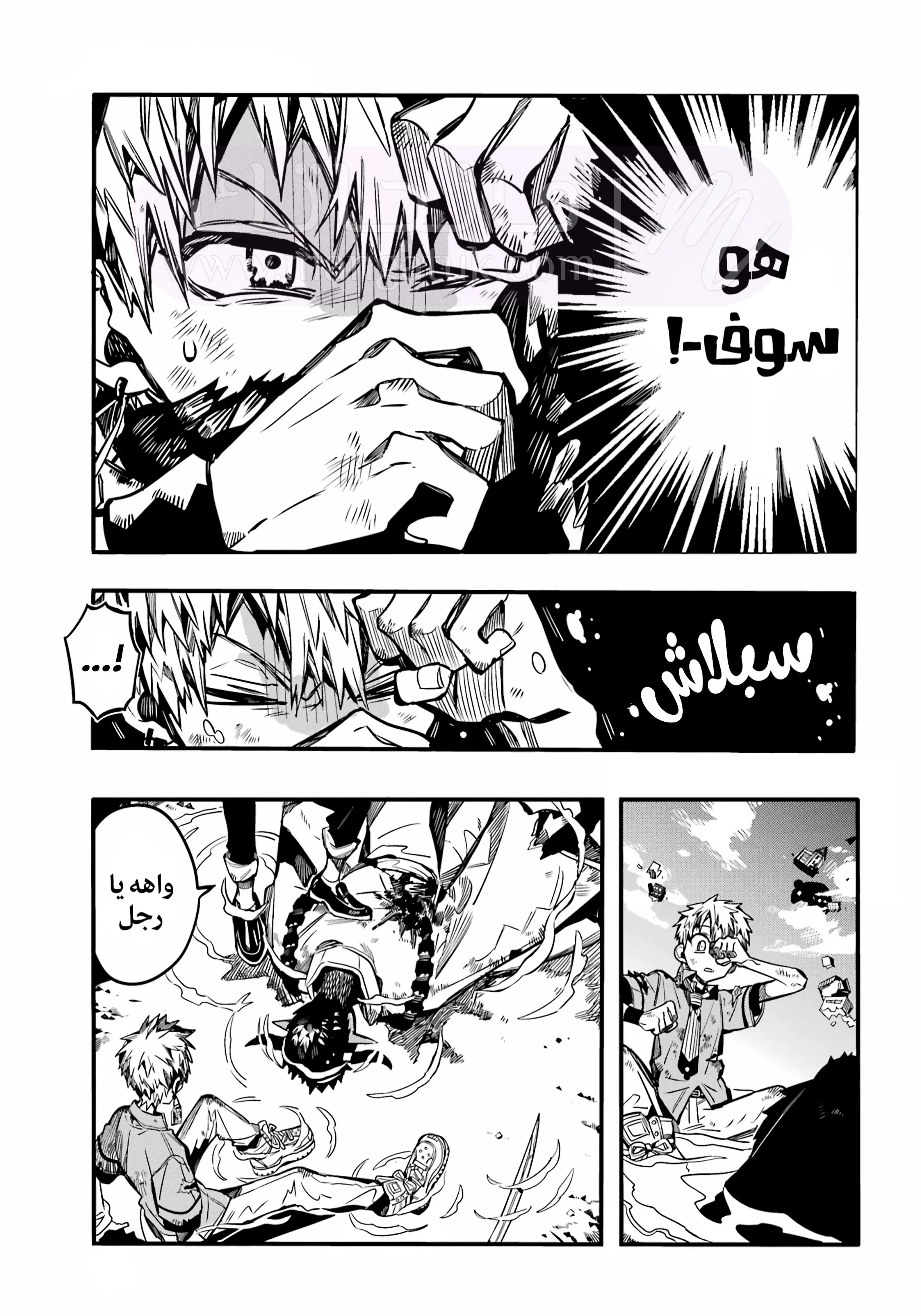 الصفحة 5