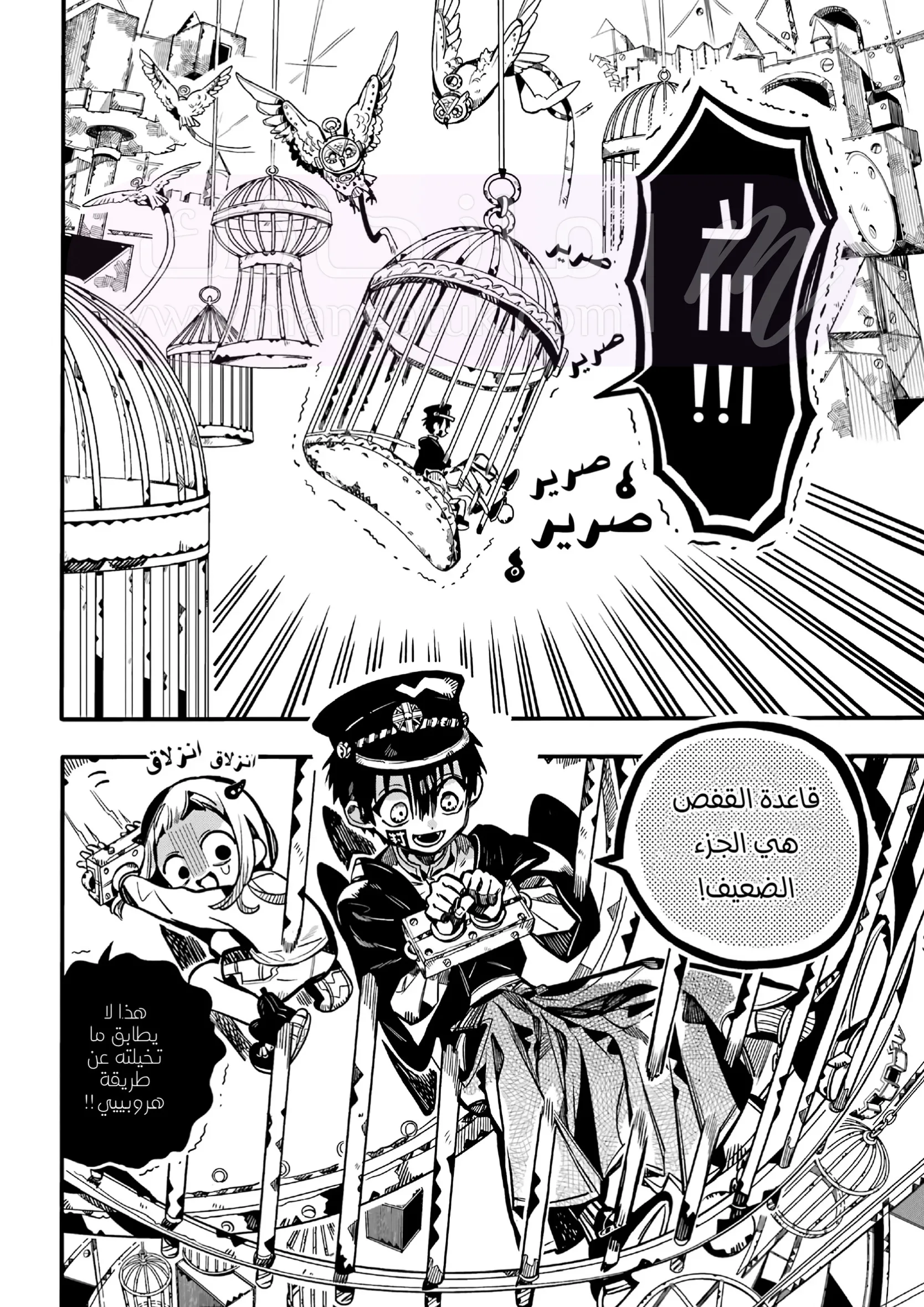 الصفحة 17