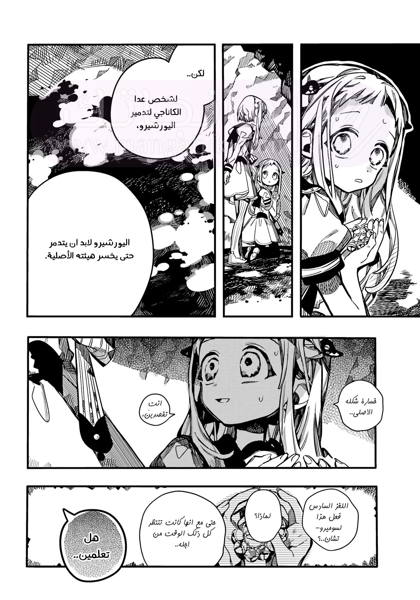 الصفحة 17