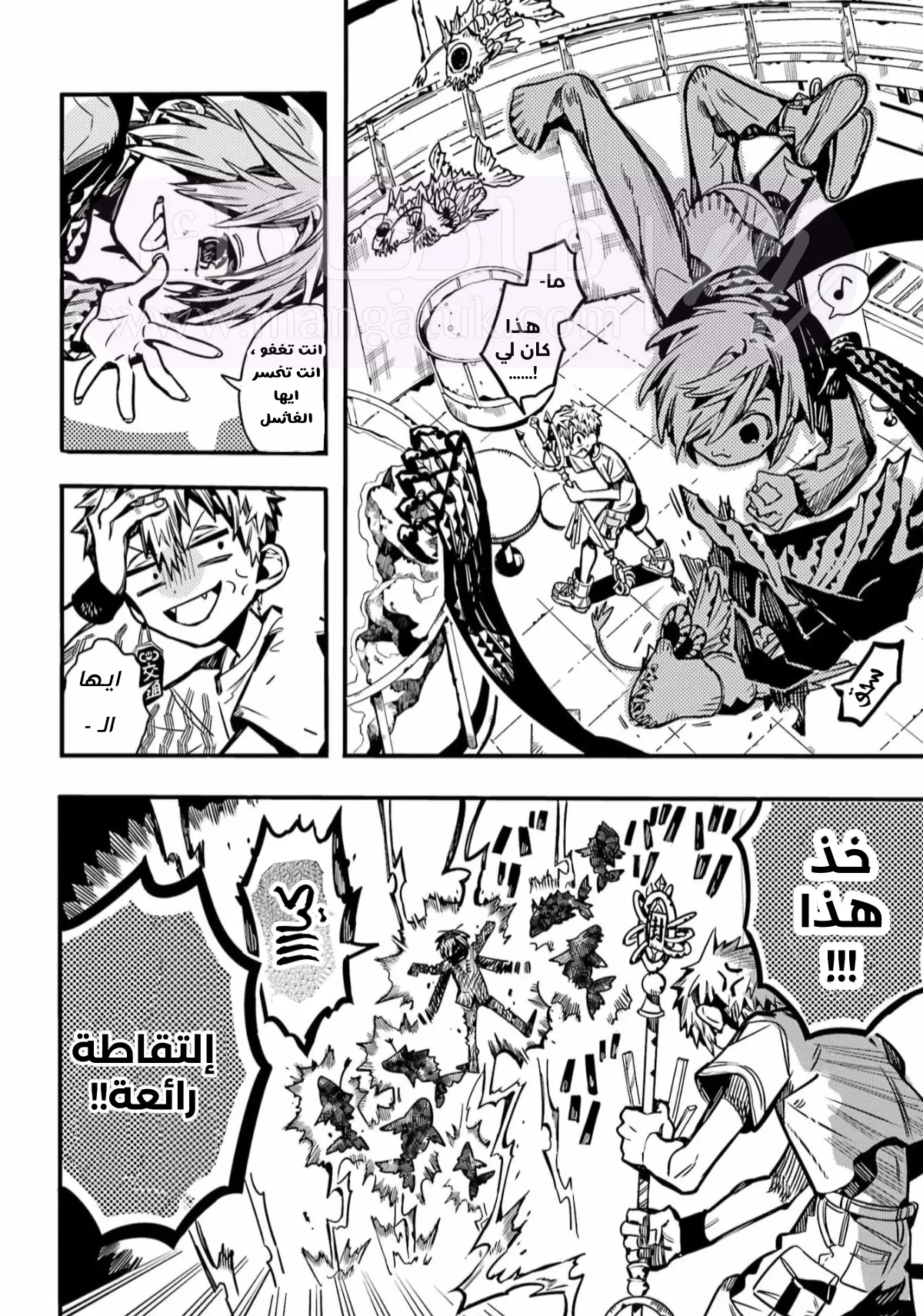 الصفحة 17