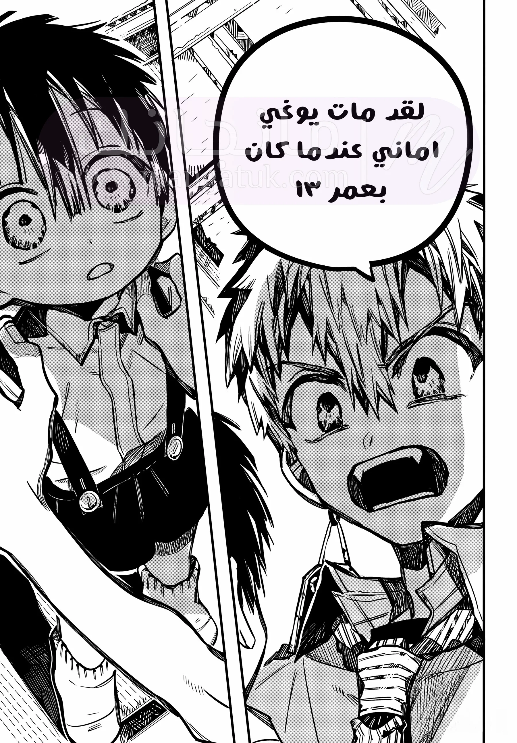 الصفحة 43