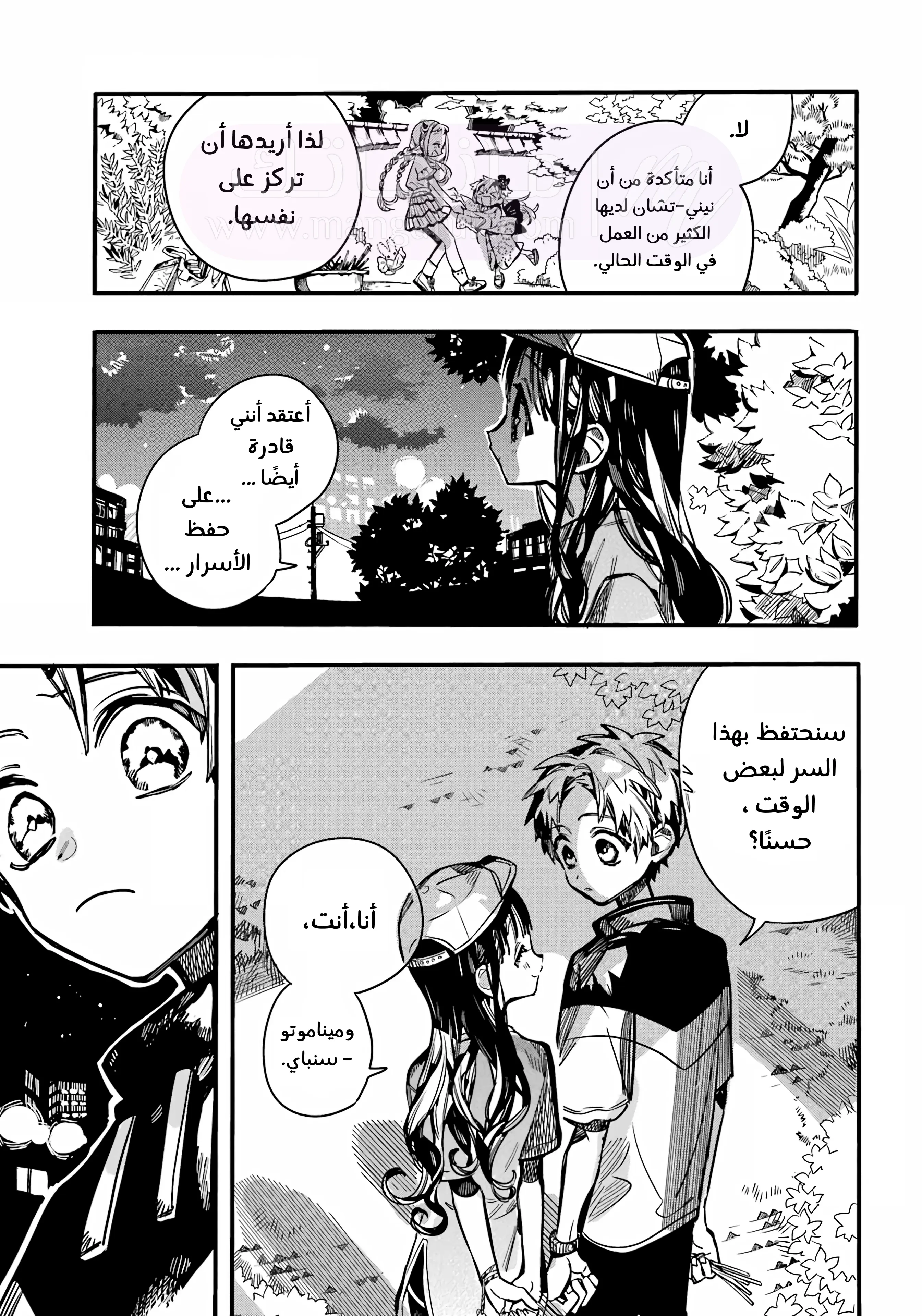 الصفحة 29