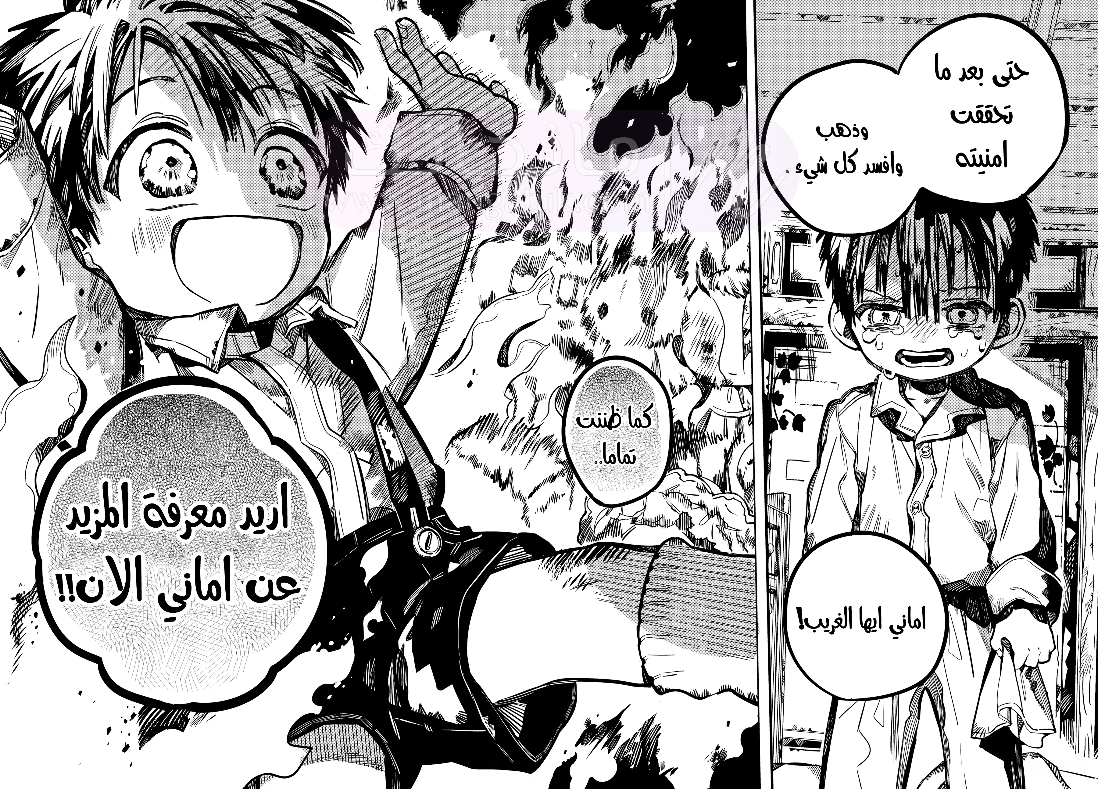 الصفحة 42