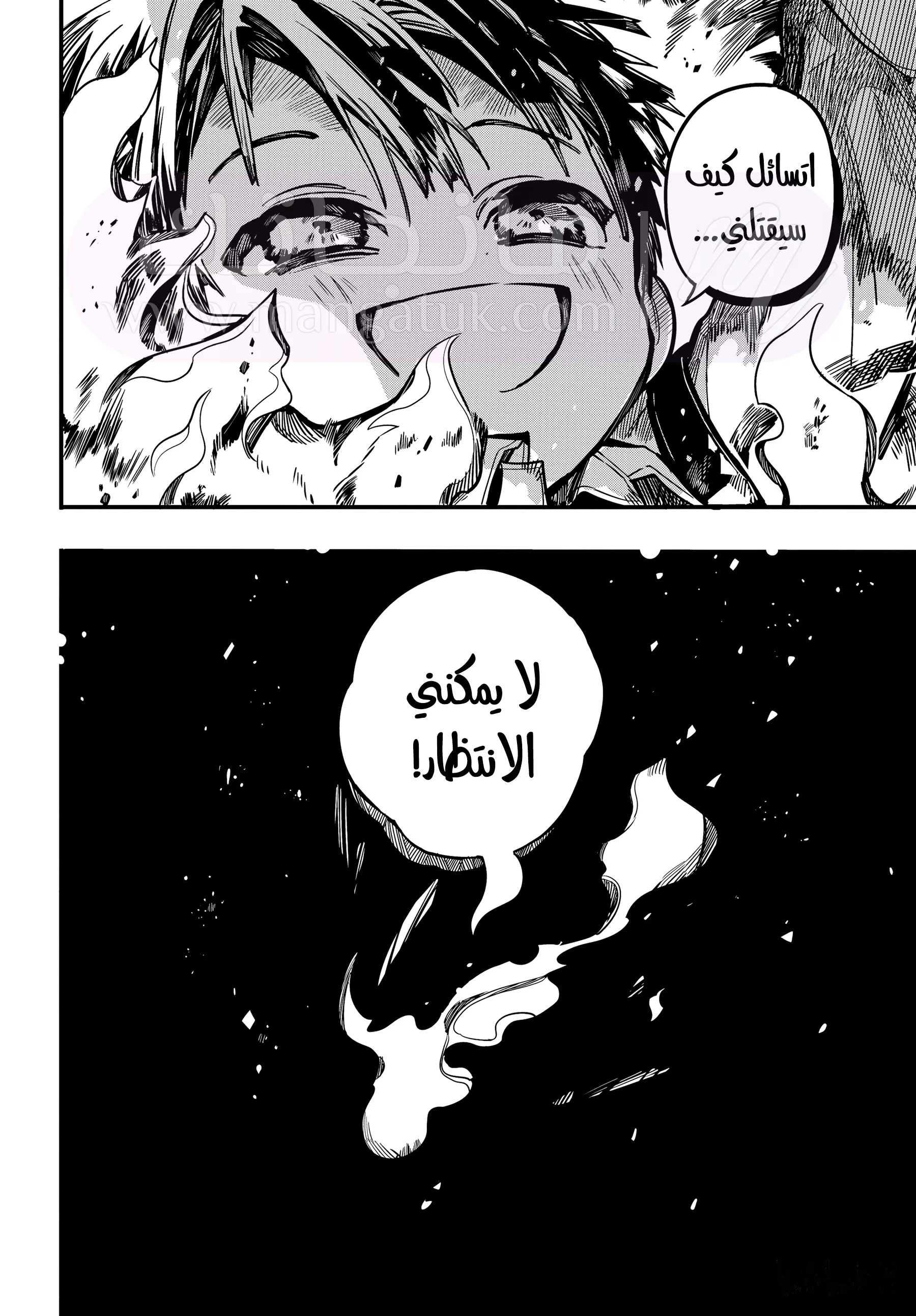 الصفحة 43