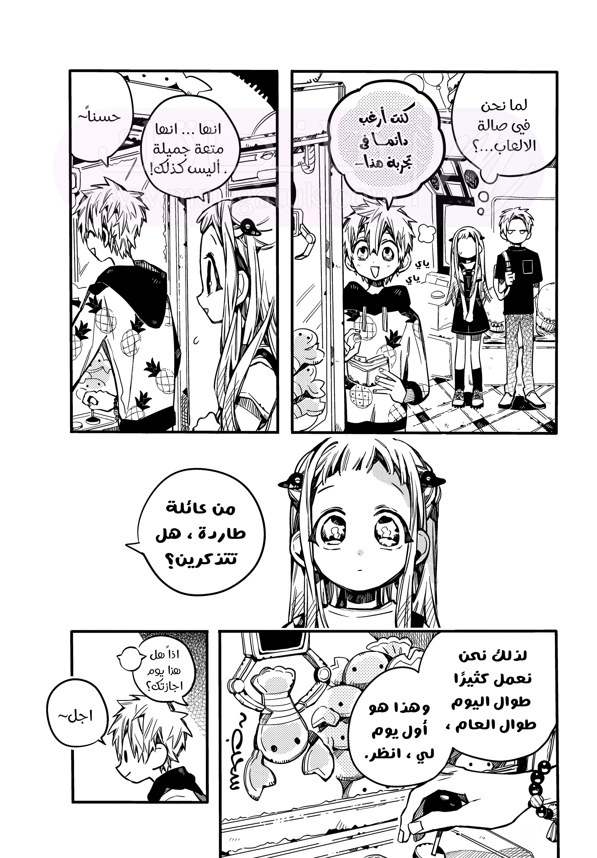 الصفحة 13