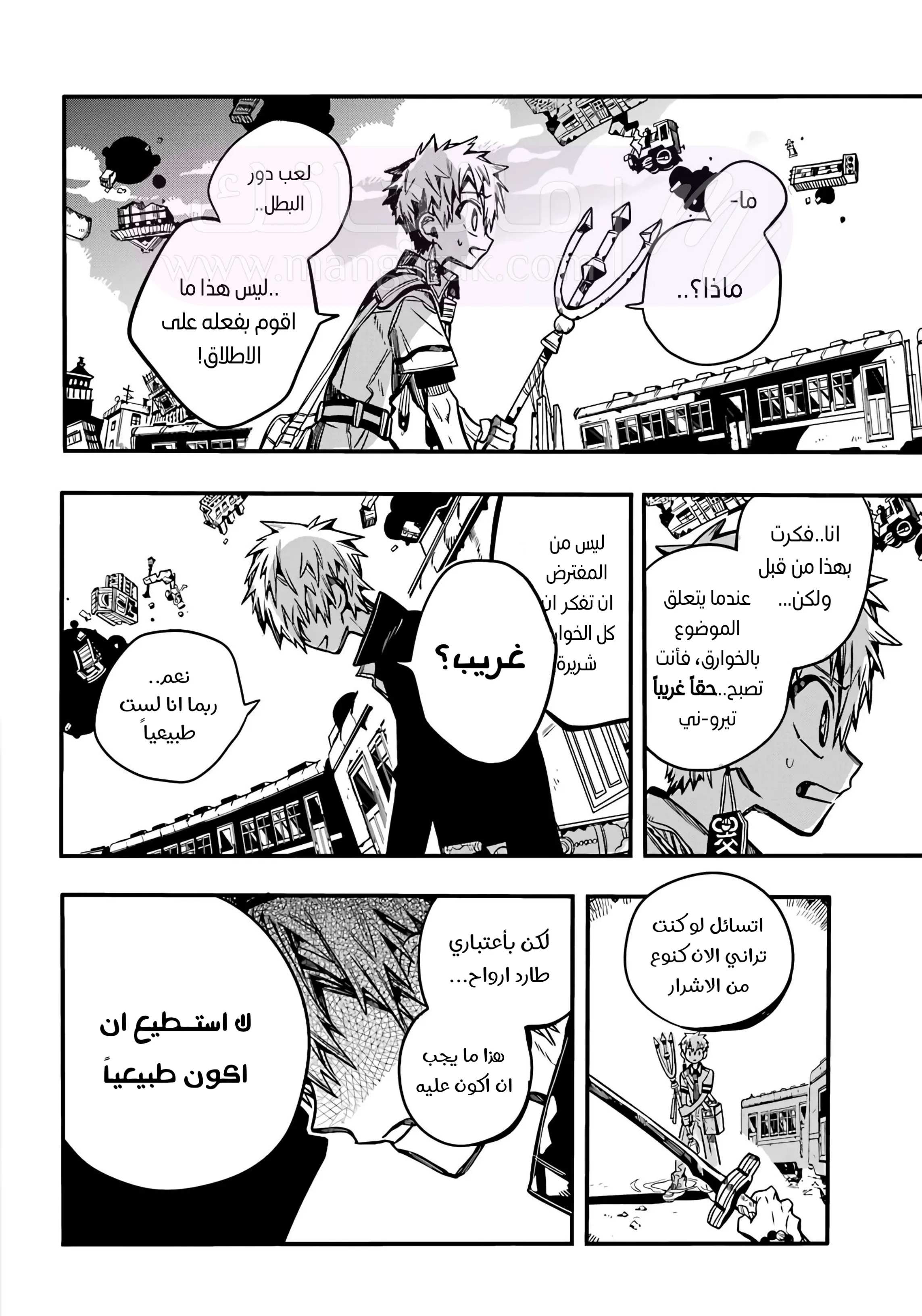 الصفحة 13