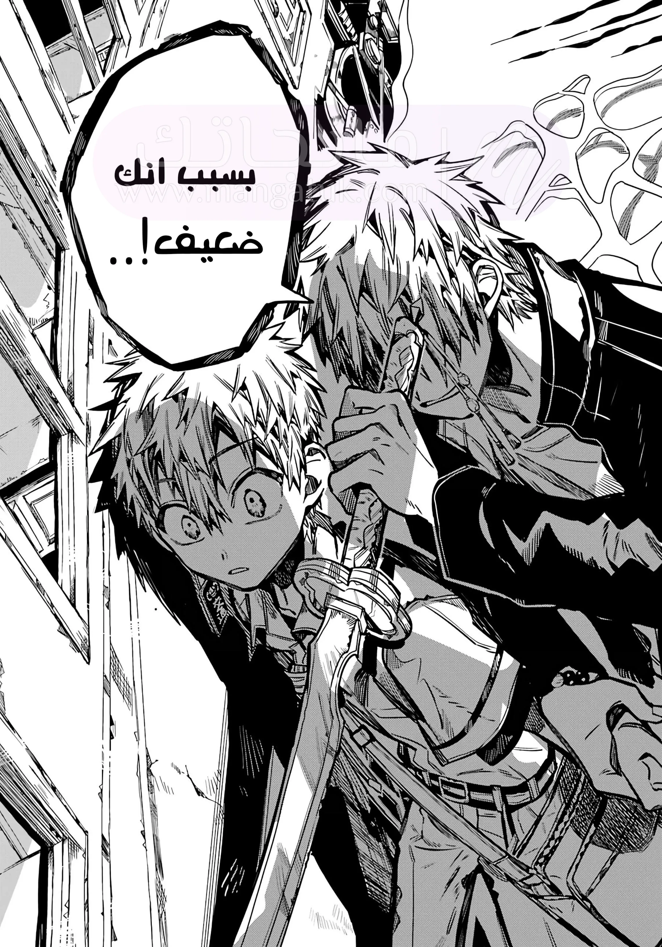 الصفحة 19
