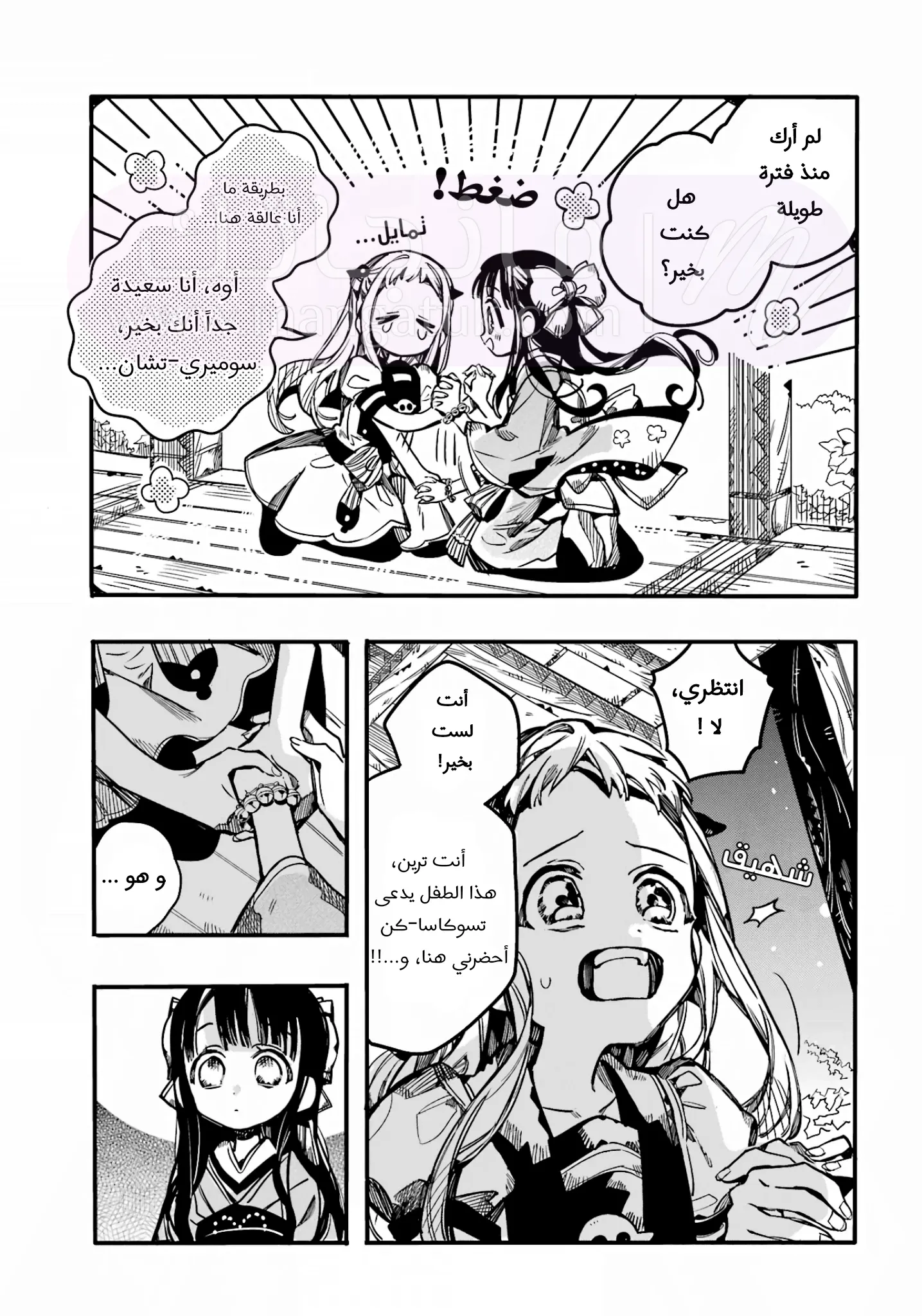 الصفحة 25